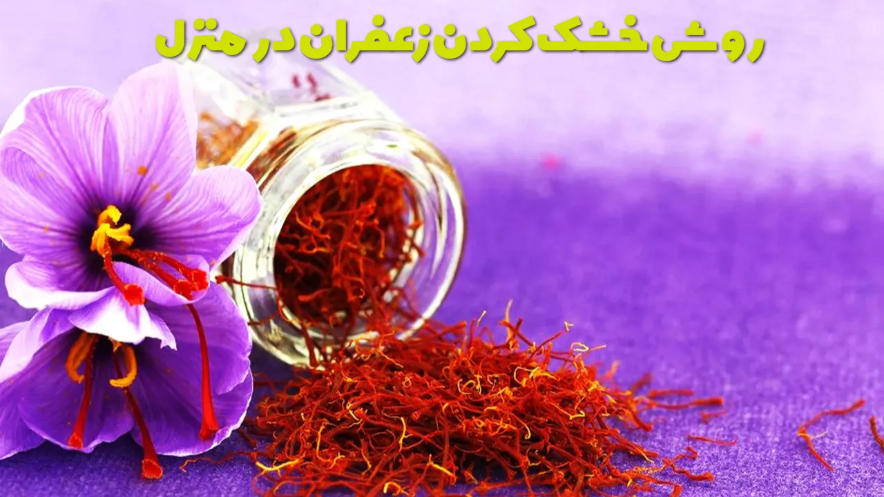 روش خشک کردن زعفران در منزل