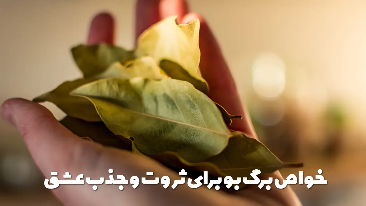 خواص برگ بو برای ثروت و جذب عشق