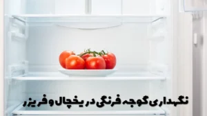 نگهداری گوجه فرنگی در یخچال و فریزر