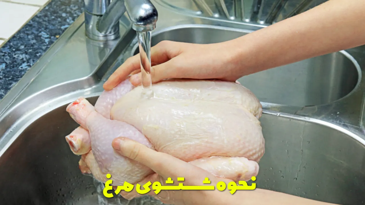 نحوه شستشوی مرغ