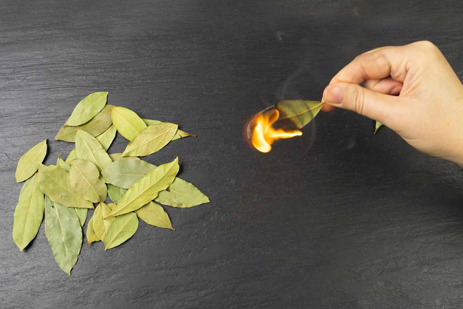 سوزاندن برگ بو برای جذب ثروت