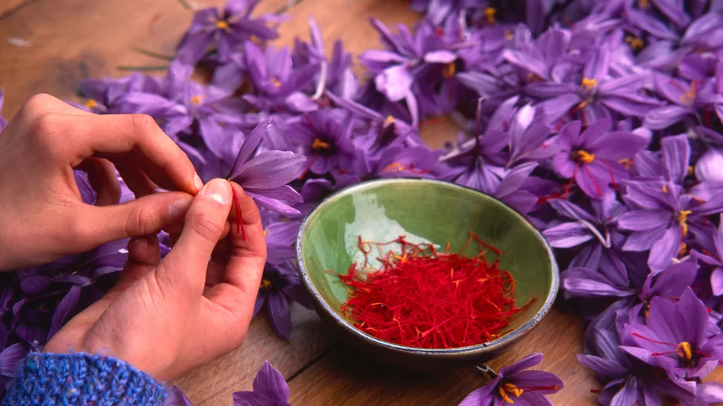 طرز استفاده از گلبرگ زعفران برای پوست