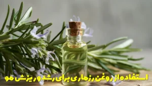 نحوه استفاده از روغن رزماری برای رشد و ریزش مو + مدت زمان استفاده