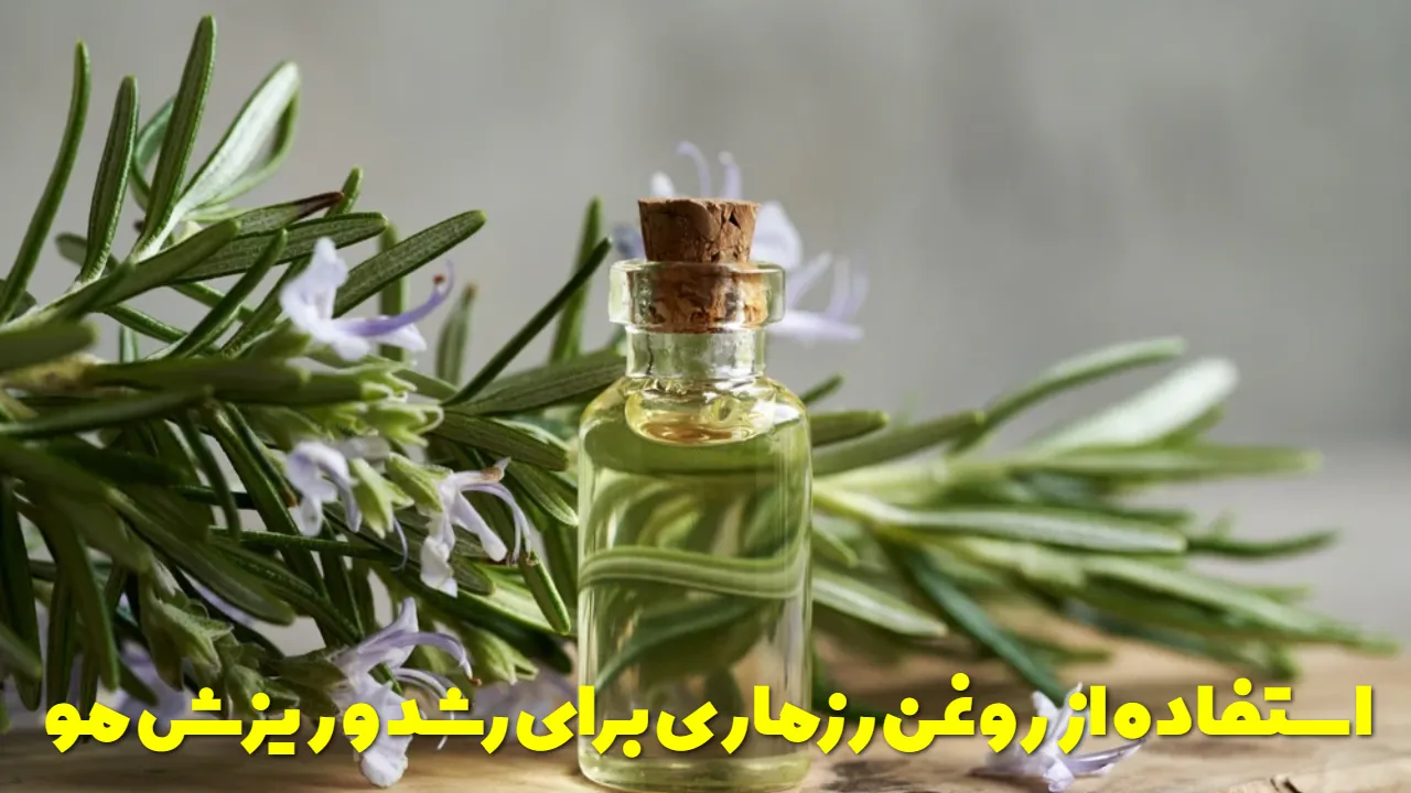 نحوه استفاده از روغن رزماری برای رشد و ریزش مو + مدت زمان استفاده