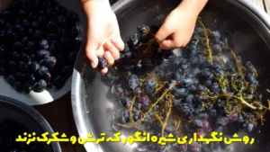 نگهداری شیره انگور که ترش و شکرک نزند