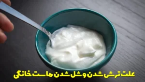 علت ترش شدن و شل شدن ماست خانگی