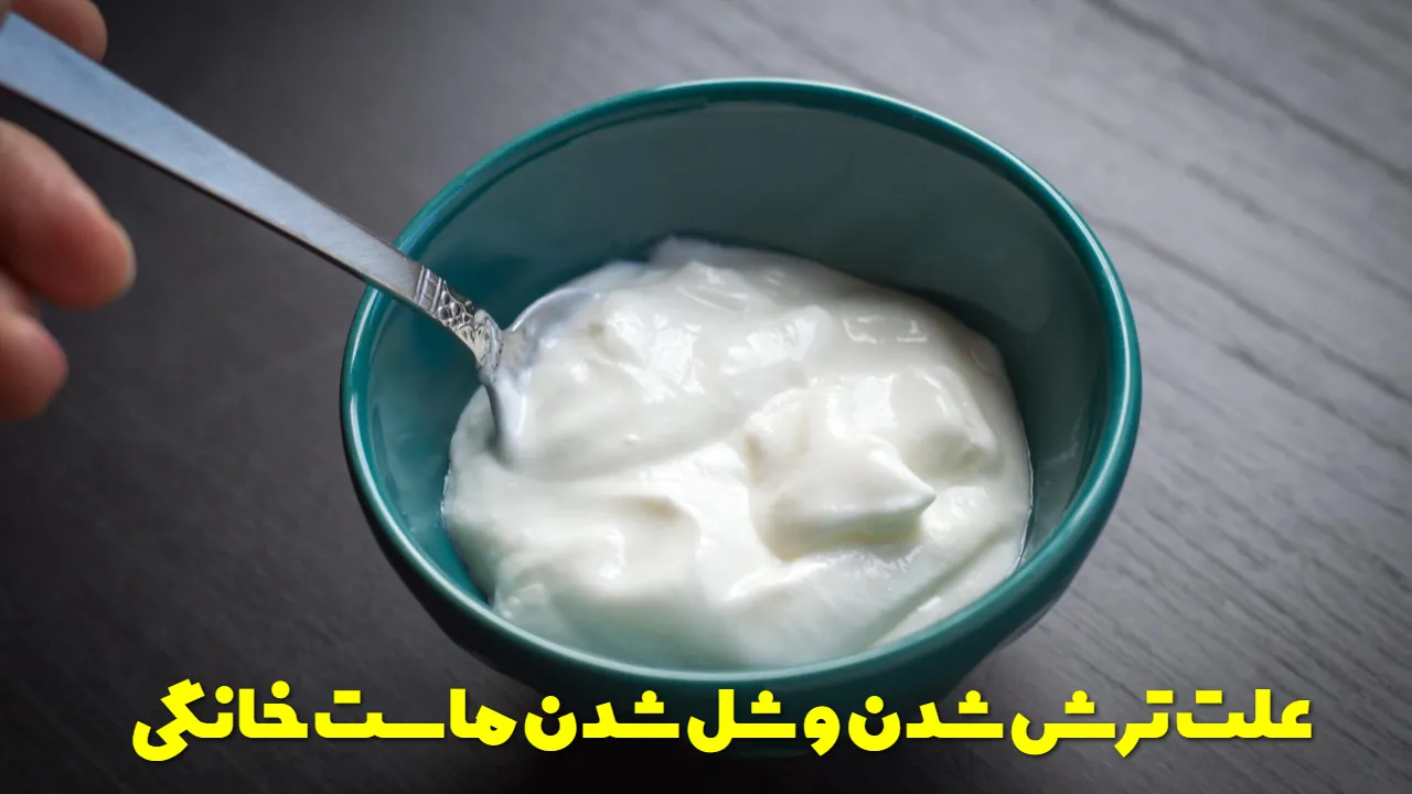 علت ترش شدن و شل شدن ماست خانگی