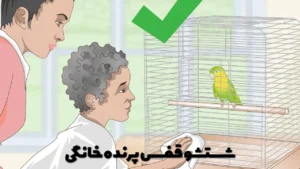 شستشو قفس پرنده خانگی