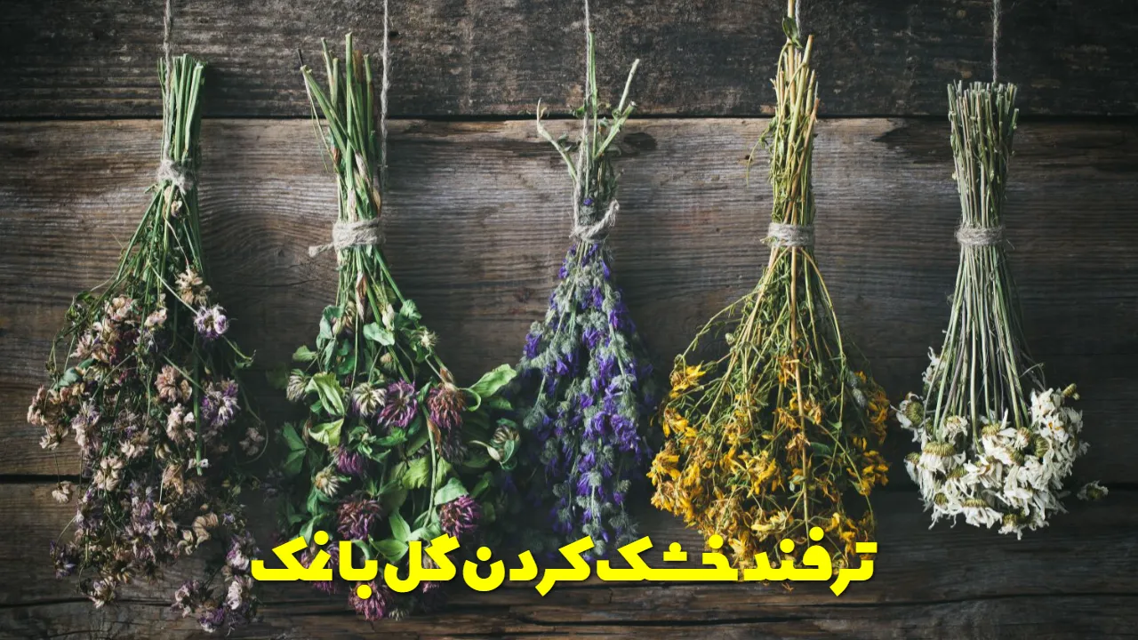 ترفند خشک کردن گل با نمک