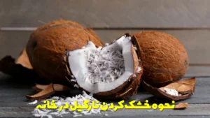 نحوه خشک کردن نارگیل در خانه