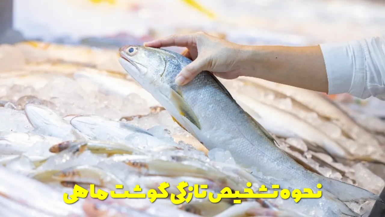 نحوه تشخیص تازگی گوشت ماهی
