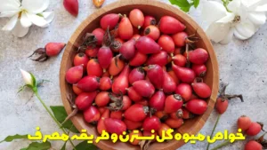 خواص میوه گل نسترن و طریقه مصرف