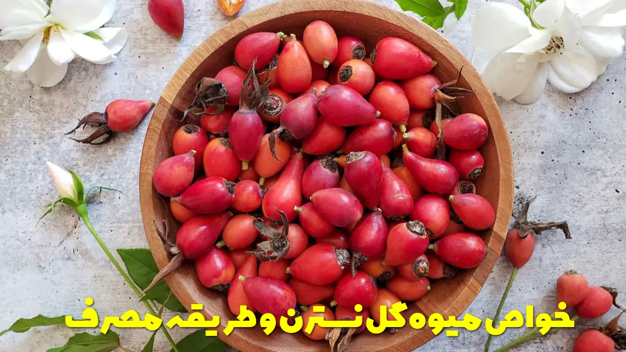 خواص میوه گل نسترن و طریقه مصرف