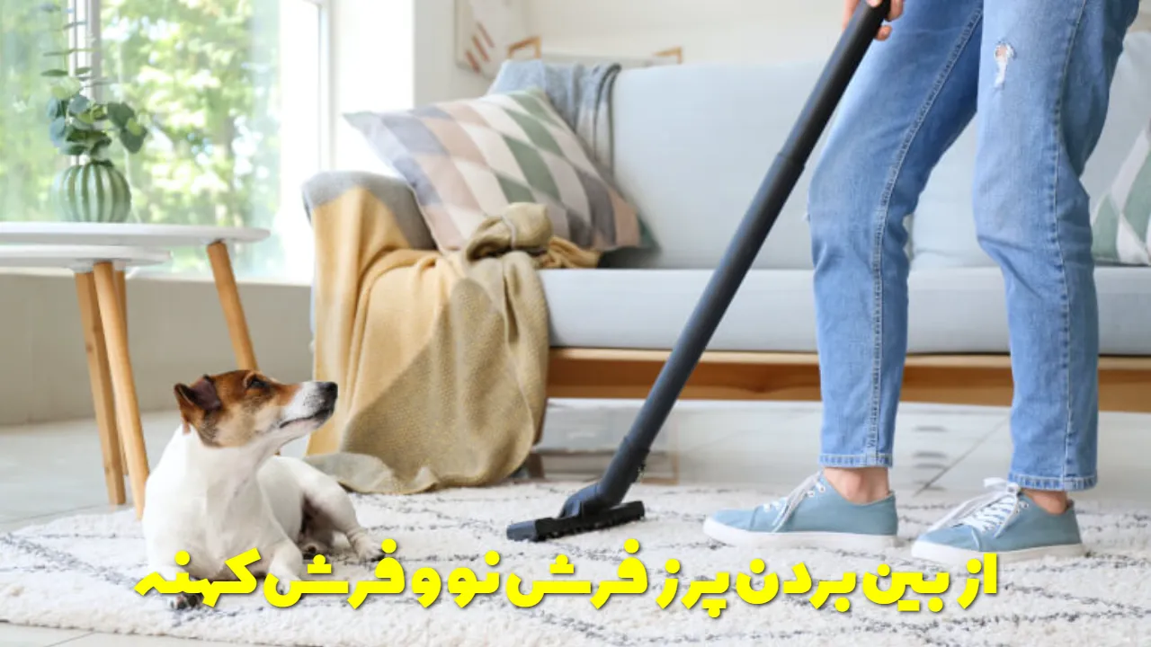 از بین بردن پرز فرش نو و فرش کهنه
