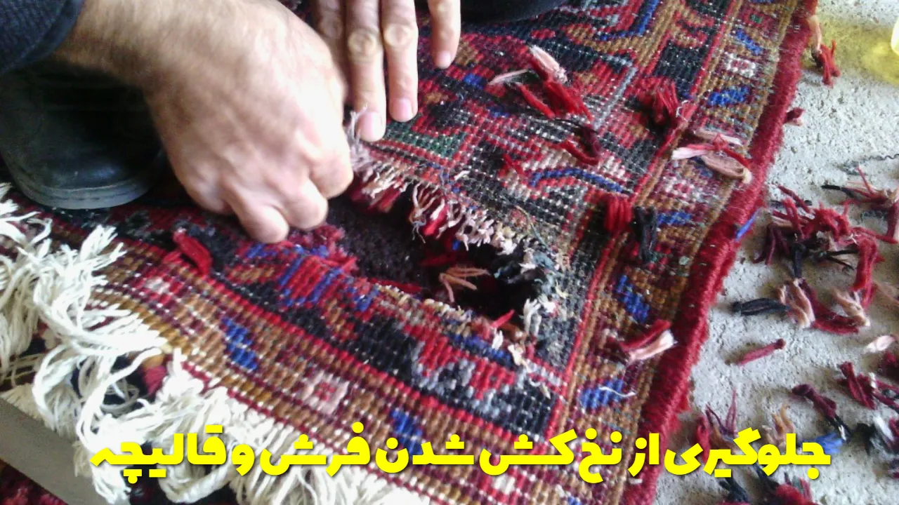 جلوگیری از نخ کش شدن فرش و قالیچه