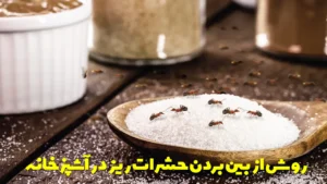 روش از بین بردن حشرات ریز در آشپزخانه