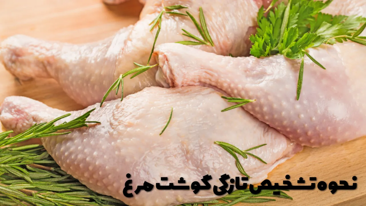 نحوه تشخیص تازگی گوشت مرغ