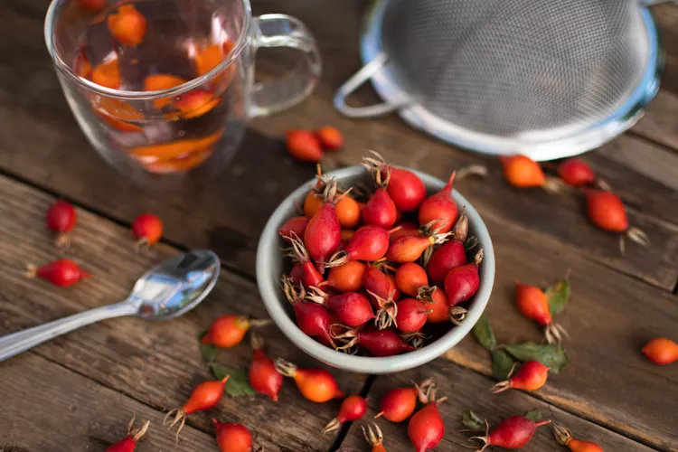 طریقه مصرف میوه گل نسترن