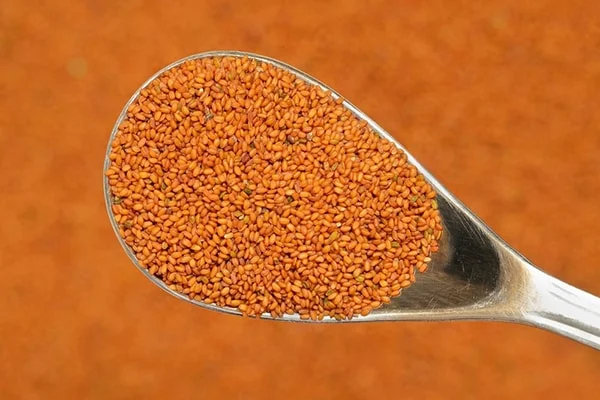 چگونه خاکشیر شسته شده را خشک کنیم؟