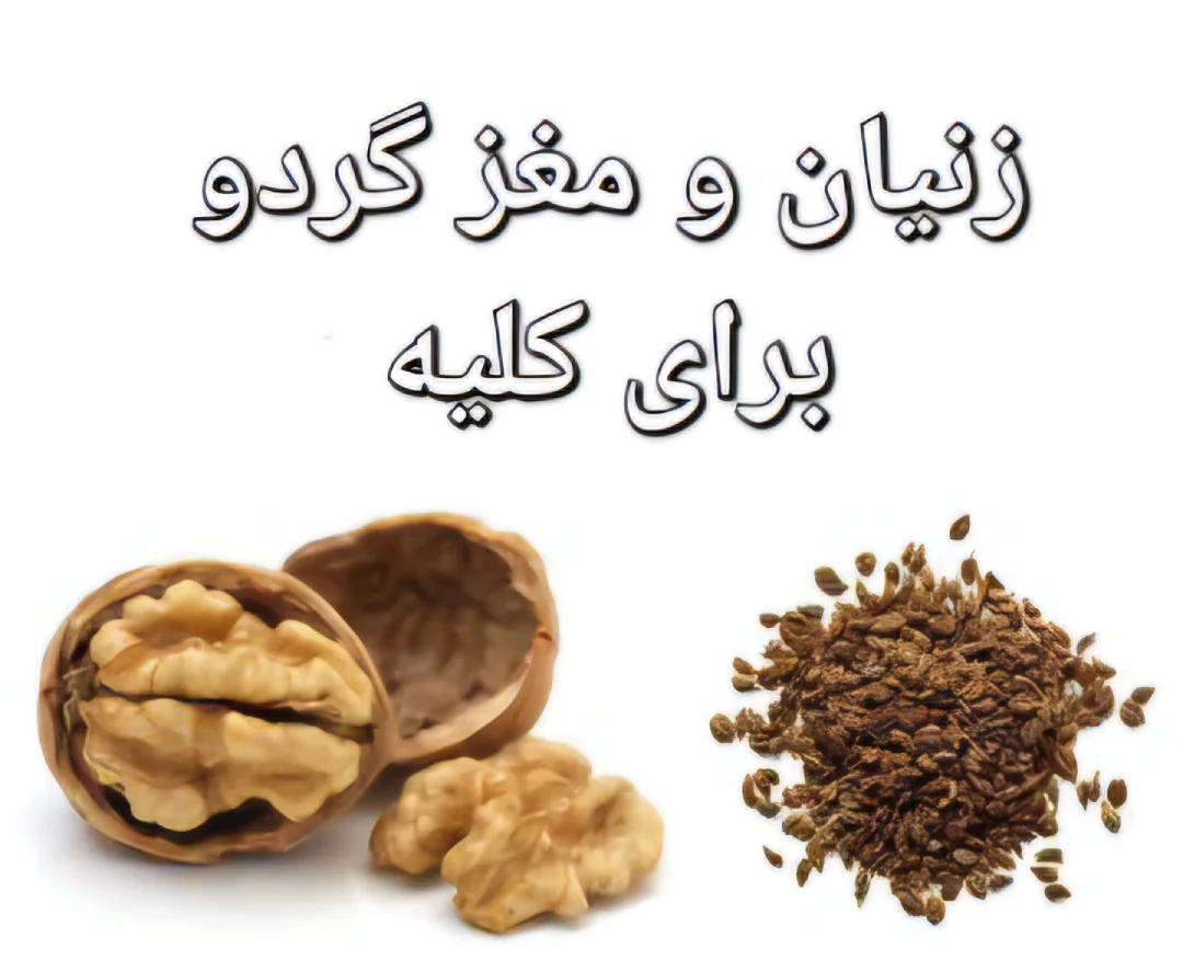 خواص زنیان و گردو برای کلیه