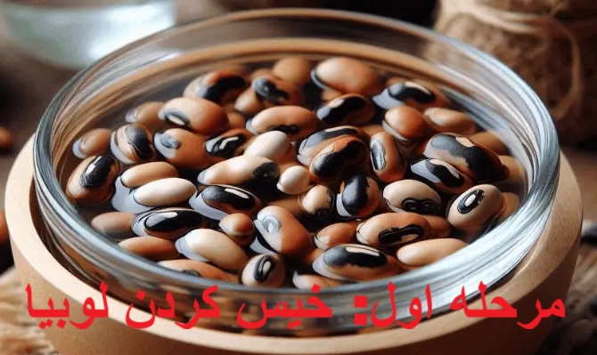 آموزش تصویری کاشت لوبیا