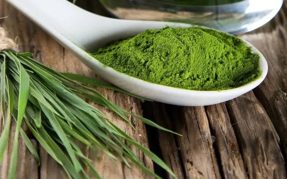 اسپیرولینا چیست و برای چی خوبه؟ + خواص اسپیرولینا برای پوست و لاغزی + طرز استفاده