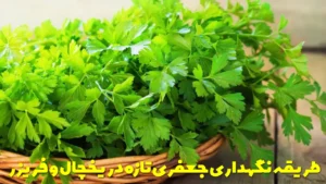 طریقه نگهداری جعفری تازه در یخچال و فریزر