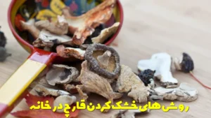 روش های خشک کردن قارچ در خانه