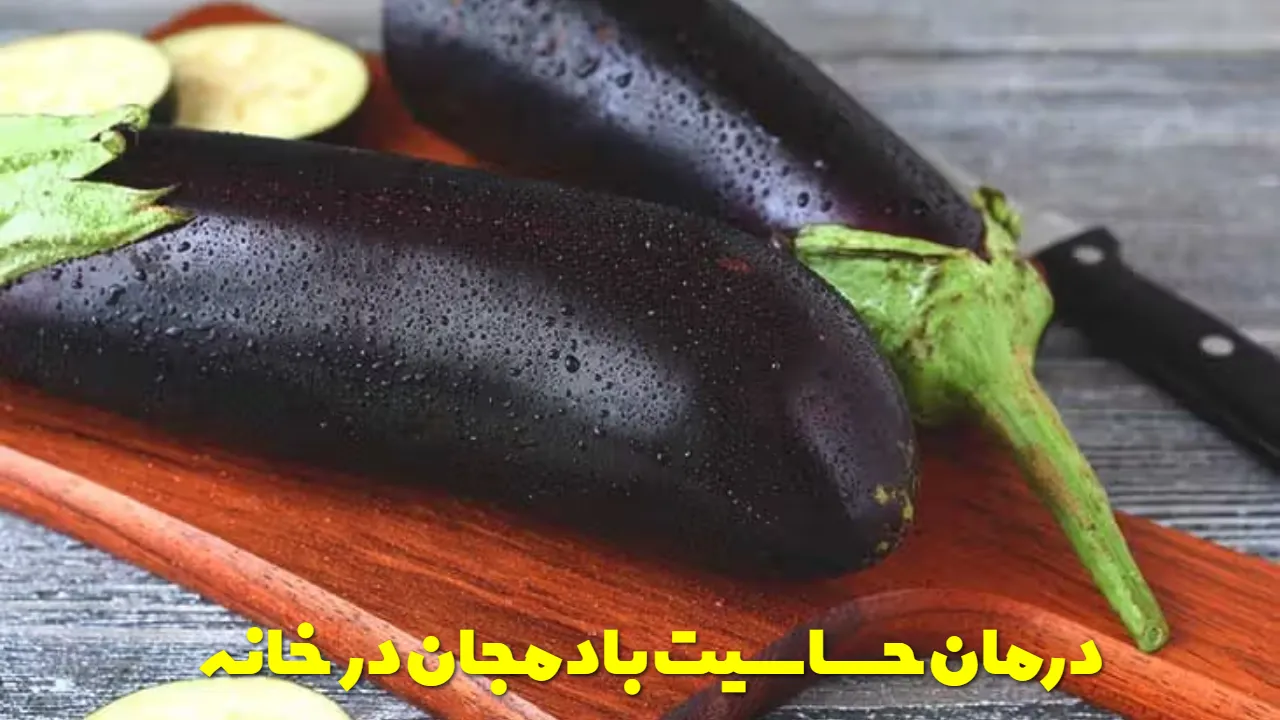 درمان حساسیت بادمجان در خانه