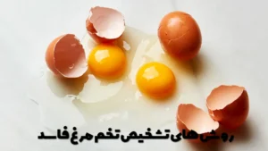 روش های تشخیص تخم مرغ فاسد