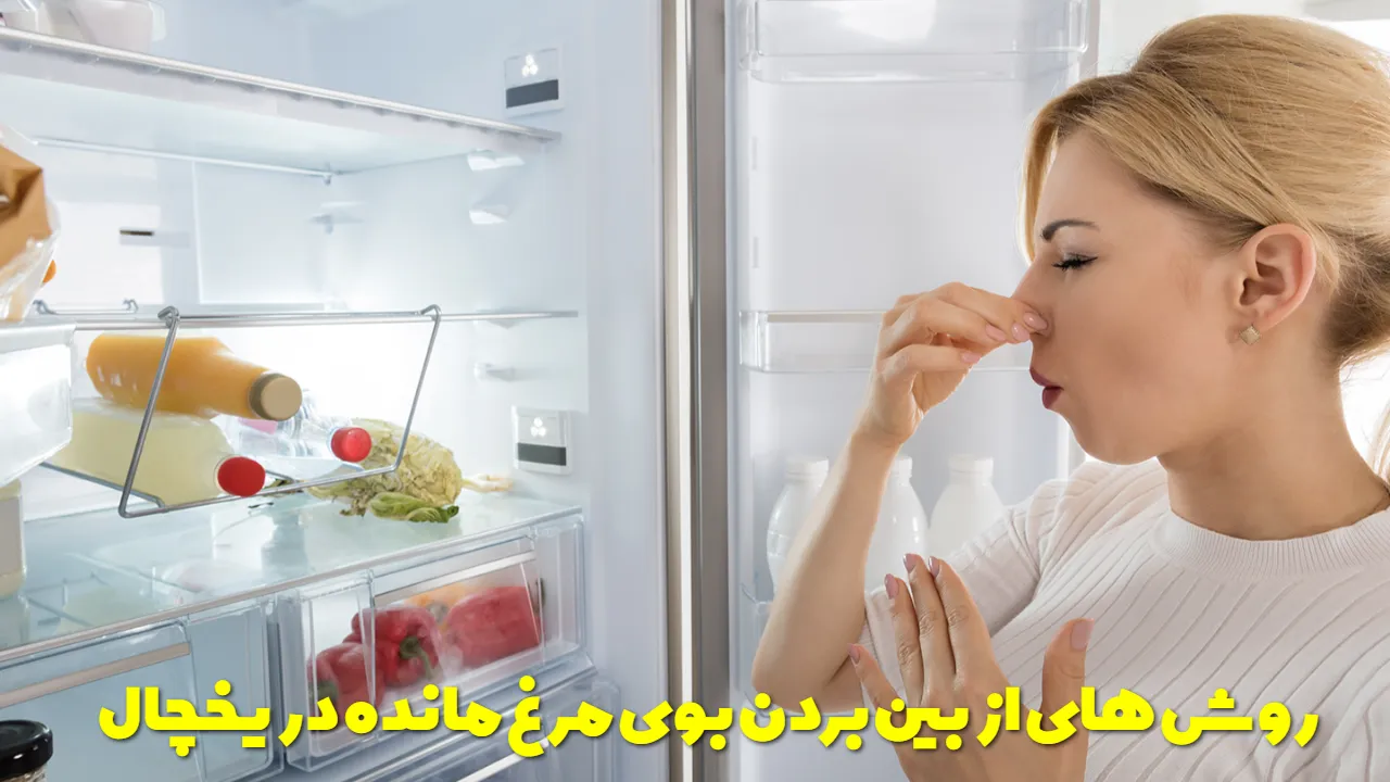 روش های از بین بردن بوی مرغ مانده در یخچال