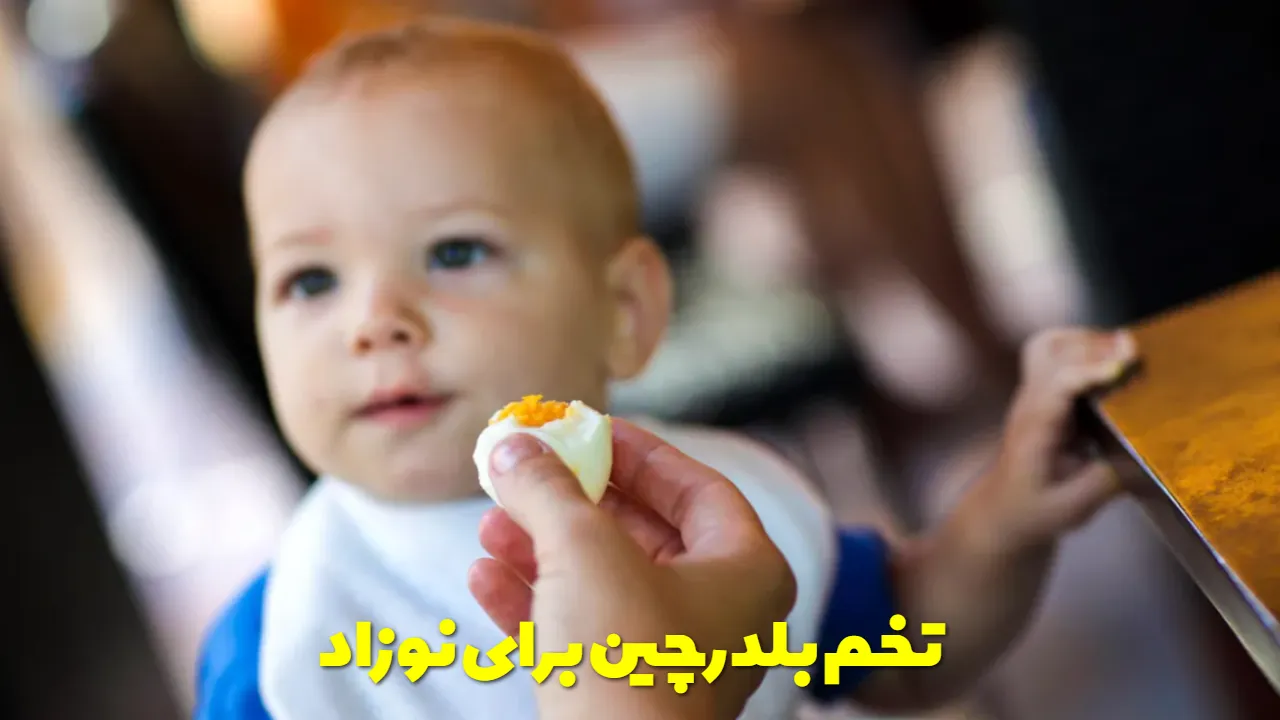 تخم بلدرچین برای نوزاد