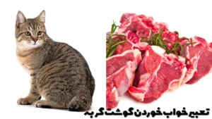 تعبیر خواب خوردن گوشت گربه