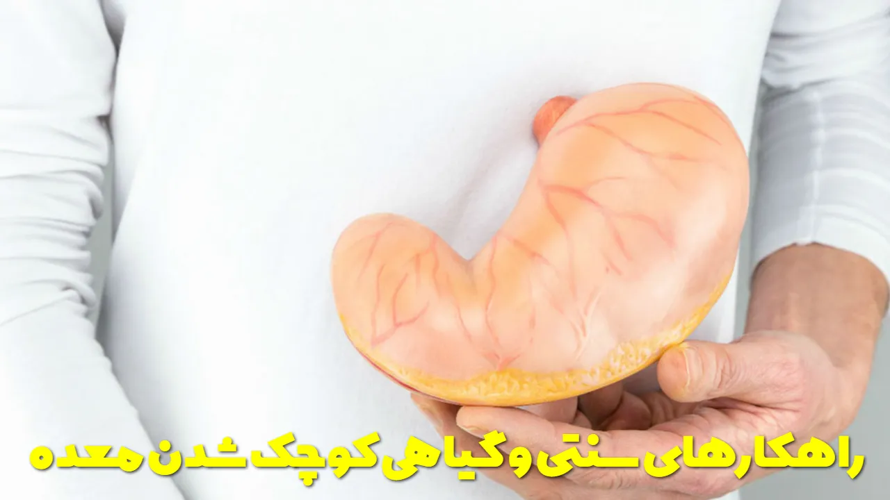 راهکارهای سنتی و گیاهی کوچک شدن معده
