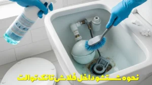 نحوه شستشو و ضد عفونی کردن داخل فلاش تانک توالت