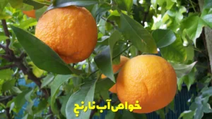 خواص آب نارنج
