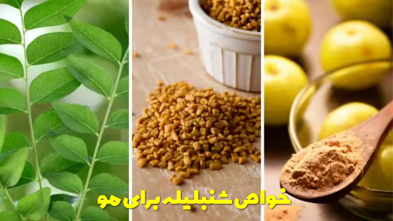 خواص شنبلیله برای مو