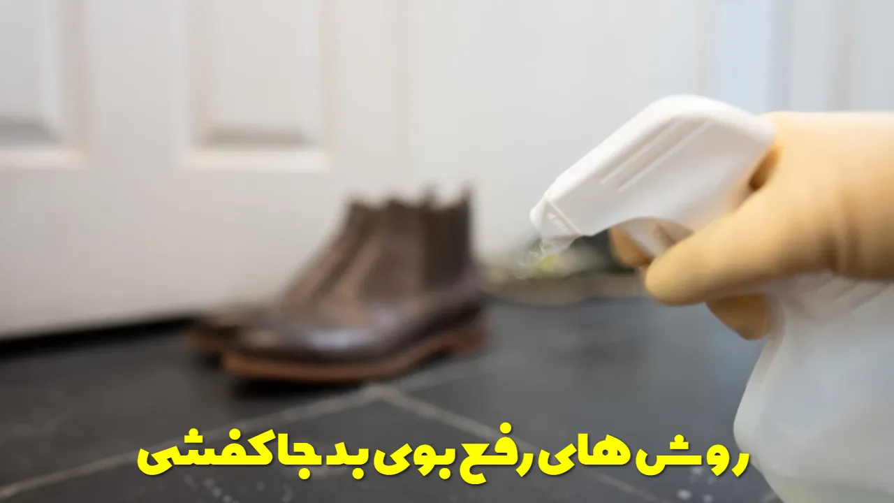 روش های رفع بوی بد جاکفشی