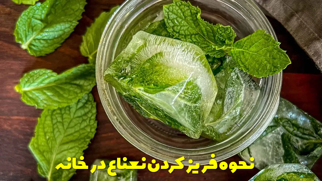 نحوه فریز کردن نعناع در خانه