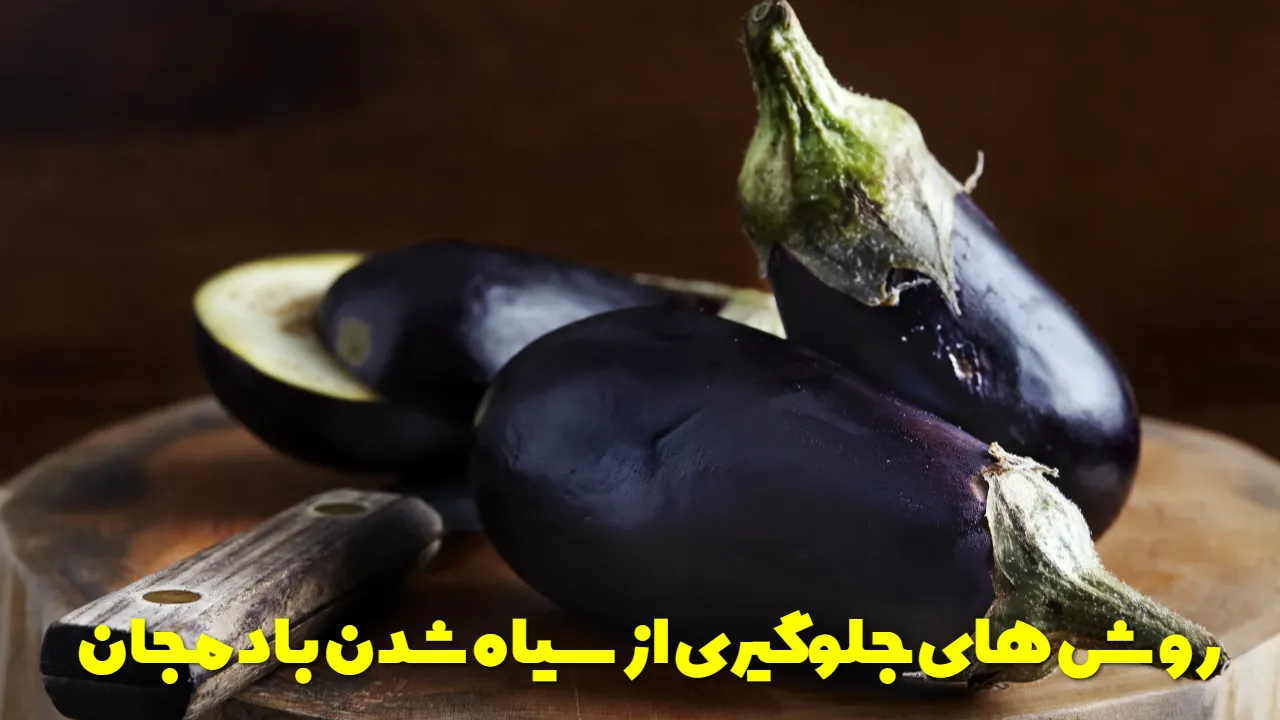 روش های ساده برای جلوگیری از سیاه شدن بادمجان