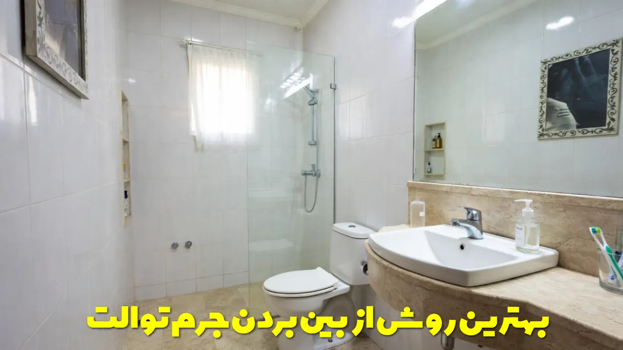 بهترین روش از بین بردن جرم توالت