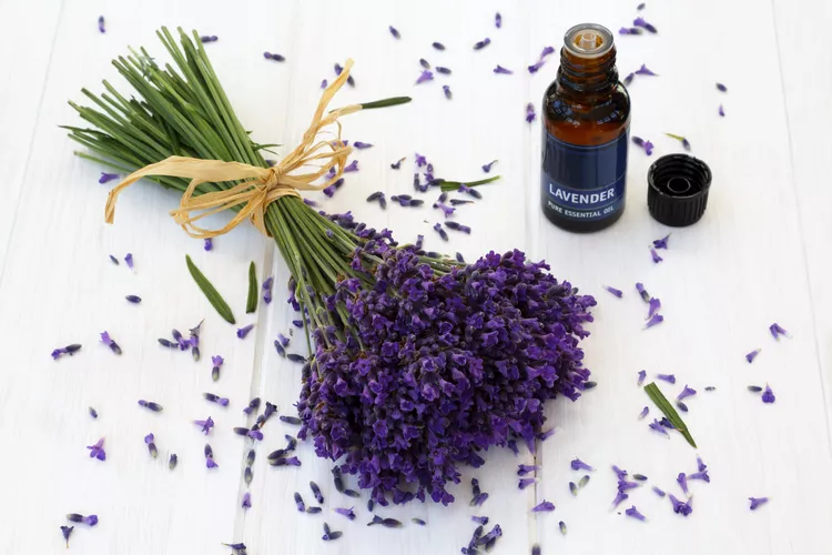 نکات ایمنی و مراقبت برای استفاده از روغن اسطوخودوس