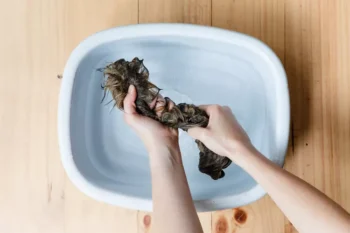 نحوه شستشوی خز طبیعی و مصنوعی با دست ، مطمئن‌ترین روش