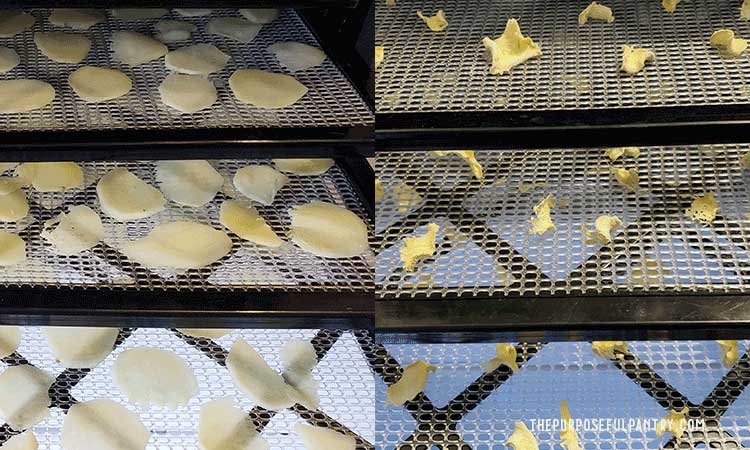 توضیحات کاربردی برای آسیاب کردن زنجبیل در خانه ، نتیجه حرفه‌ای