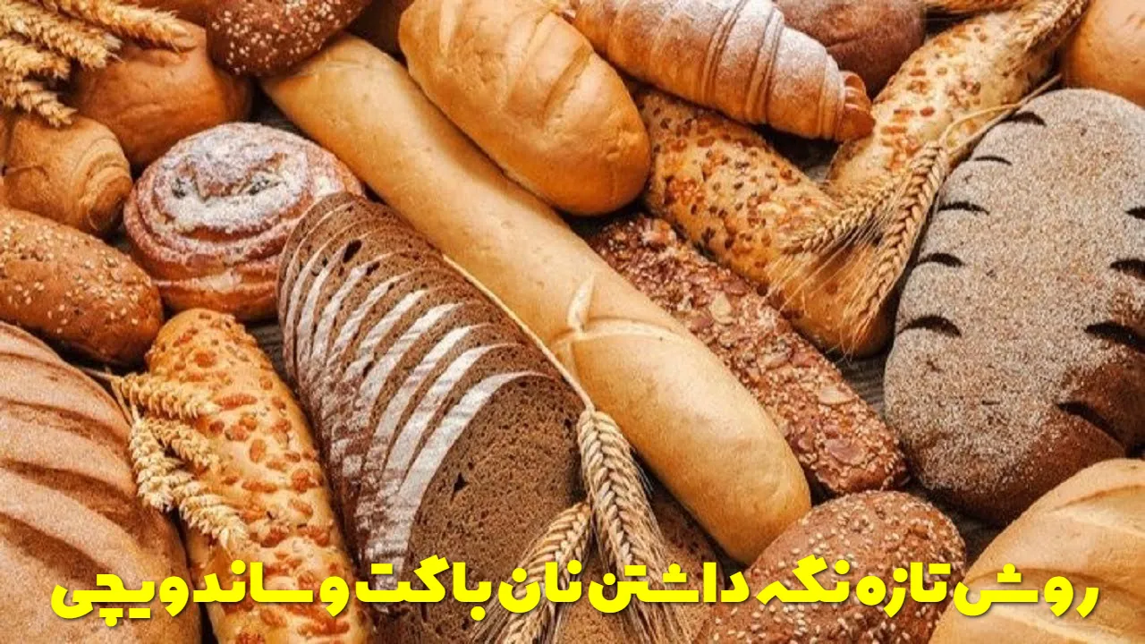 روش تازه نگه داشتن نان باگت و ساندویچی