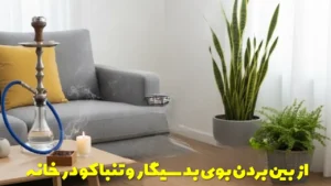 از بین بردن بوی بد سیگار و تنباکو در خانه