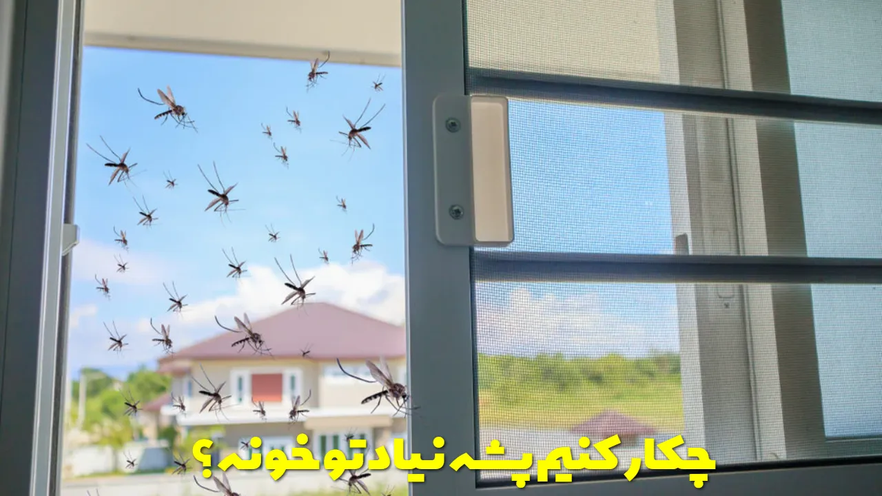 چکار کنیم پشه نیاد تو خونه یا پشه ها فرار کنند؟