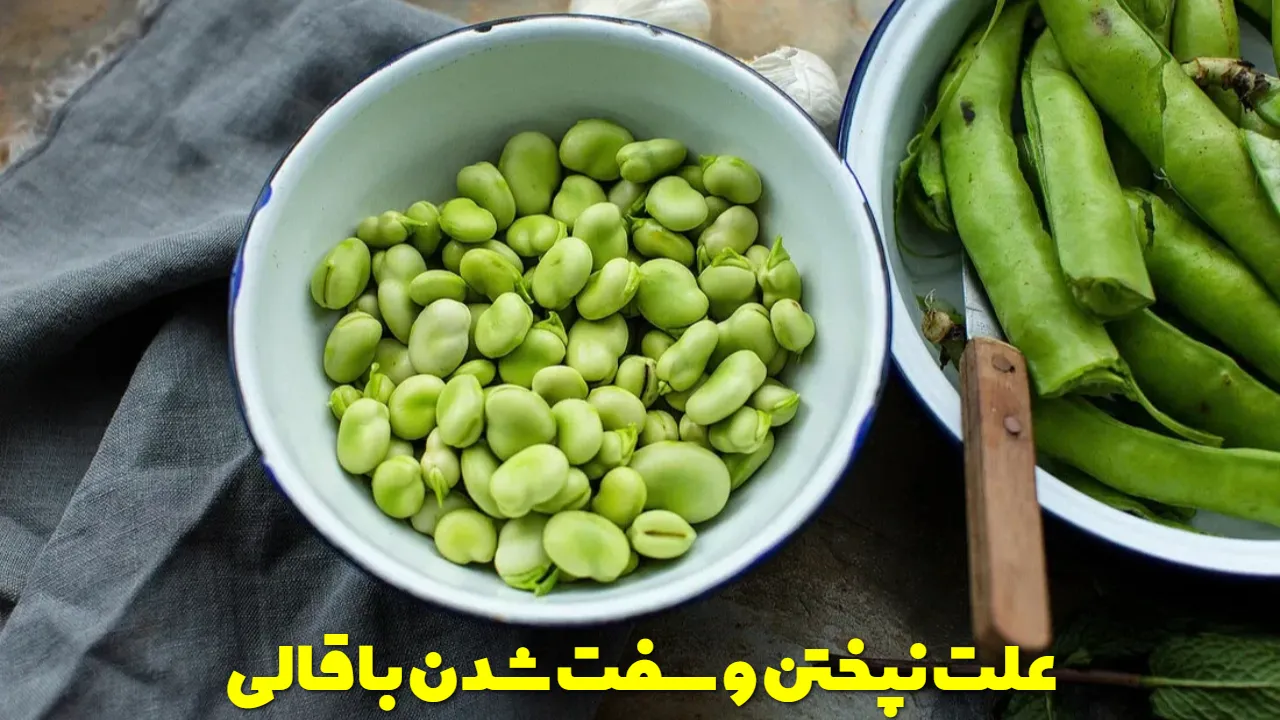 علت نپختن و سفت شدن باقالی