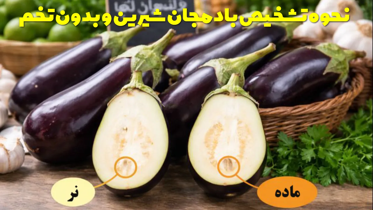 نحوه تشخیص بادمجان شیرین و بدون تخم