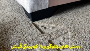 روش های جلوگیری از کوبیدگی فرش